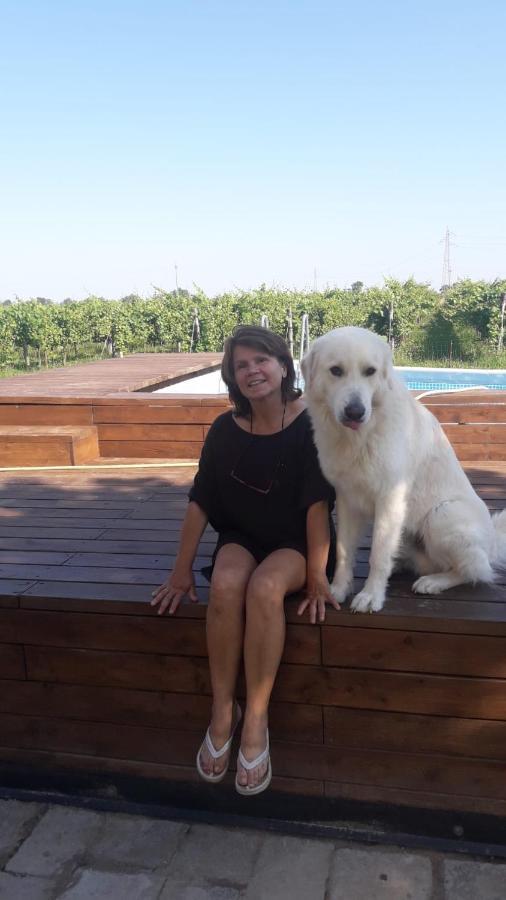 Tenuta Crescentini-Vallemura ,Appartamenti Con Entrata Indipendente San Dona di Piave Luaran gambar