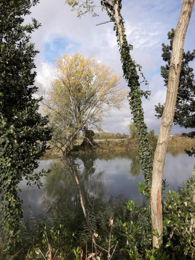 Tenuta Crescentini-Vallemura ,Appartamenti Con Entrata Indipendente San Dona di Piave Luaran gambar