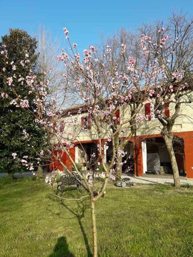 Tenuta Crescentini-Vallemura ,Appartamenti Con Entrata Indipendente San Dona di Piave Luaran gambar