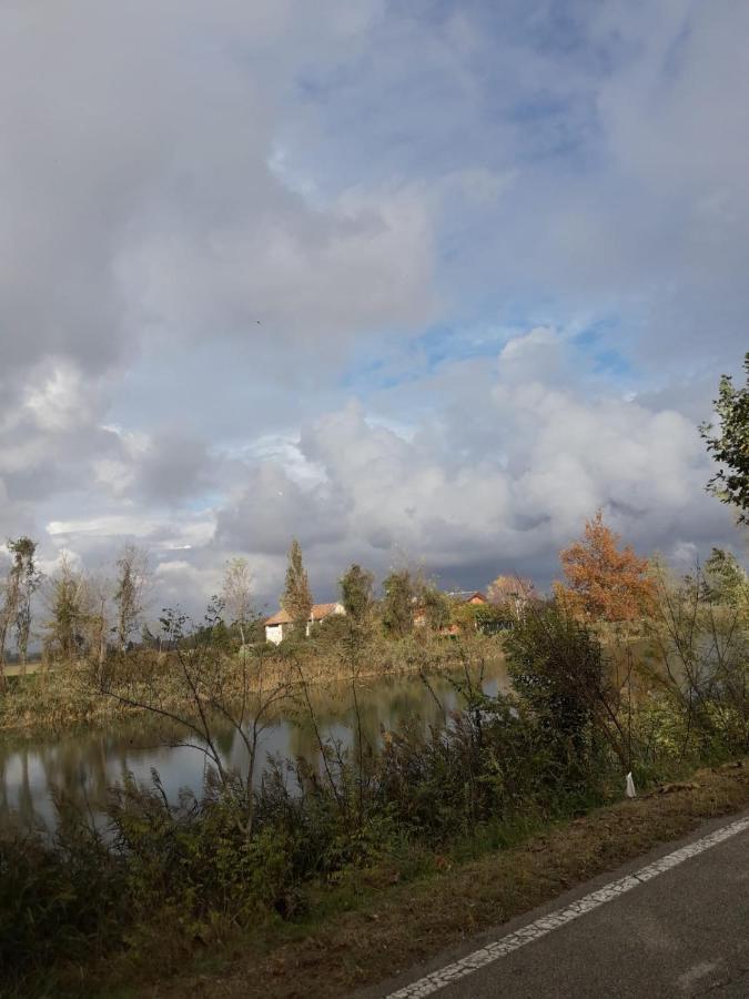 Tenuta Crescentini-Vallemura ,Appartamenti Con Entrata Indipendente San Dona di Piave Luaran gambar