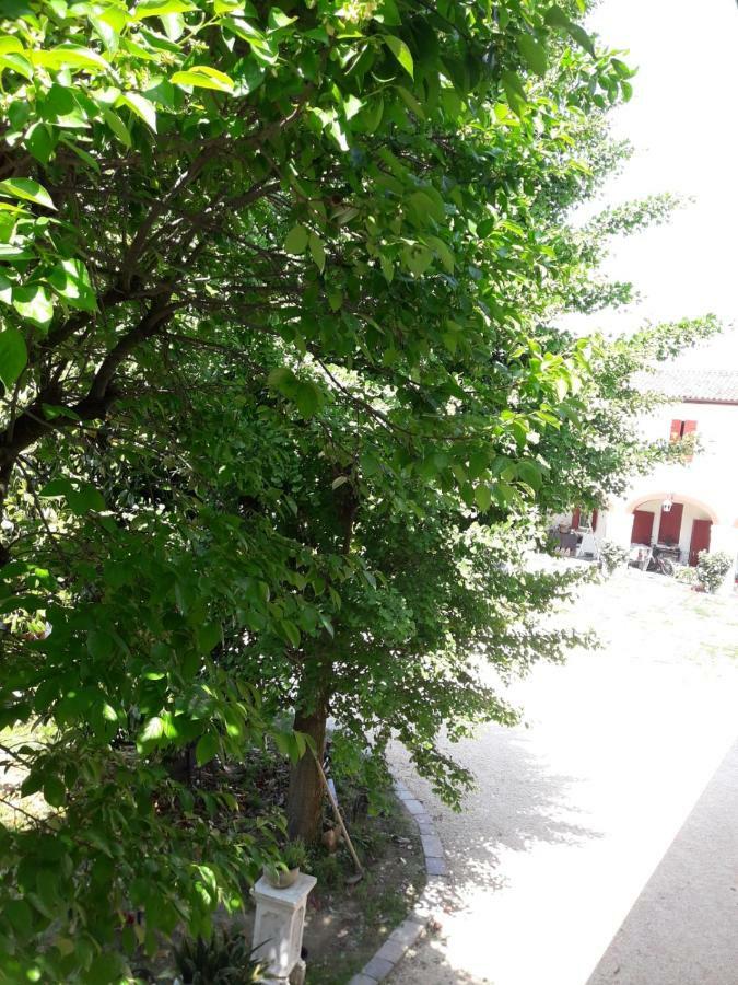 Tenuta Crescentini-Vallemura ,Appartamenti Con Entrata Indipendente San Dona di Piave Luaran gambar
