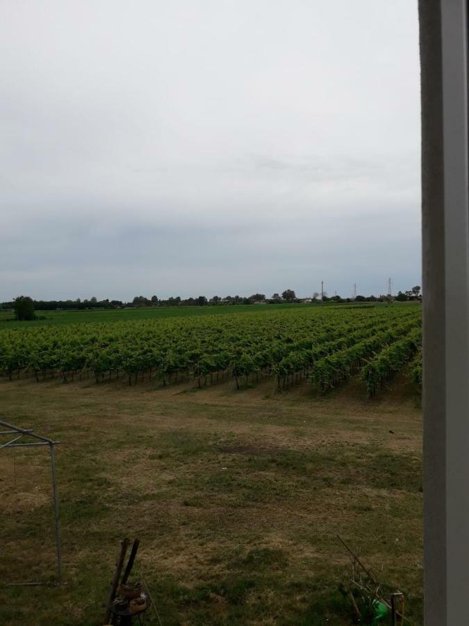 Tenuta Crescentini-Vallemura ,Appartamenti Con Entrata Indipendente San Dona di Piave Luaran gambar