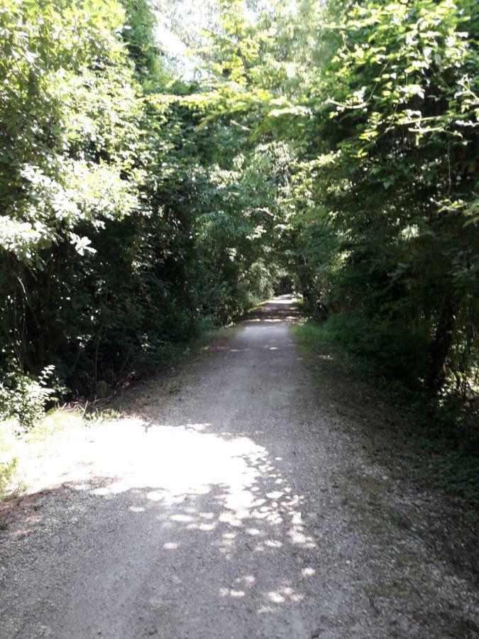 Tenuta Crescentini-Vallemura ,Appartamenti Con Entrata Indipendente San Dona di Piave Luaran gambar