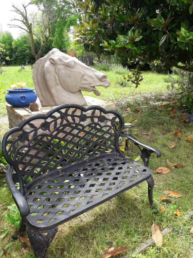 Tenuta Crescentini-Vallemura ,Appartamenti Con Entrata Indipendente San Dona di Piave Luaran gambar