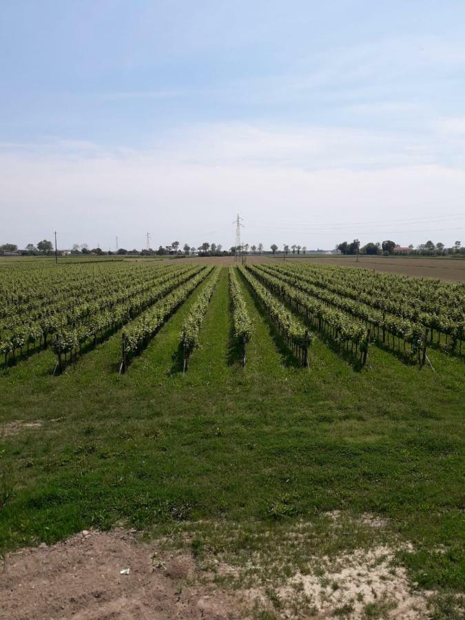 Tenuta Crescentini-Vallemura ,Appartamenti Con Entrata Indipendente San Dona di Piave Luaran gambar