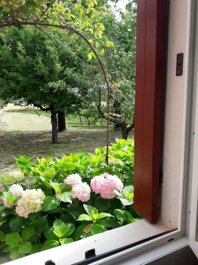 Tenuta Crescentini-Vallemura ,Appartamenti Con Entrata Indipendente San Dona di Piave Luaran gambar