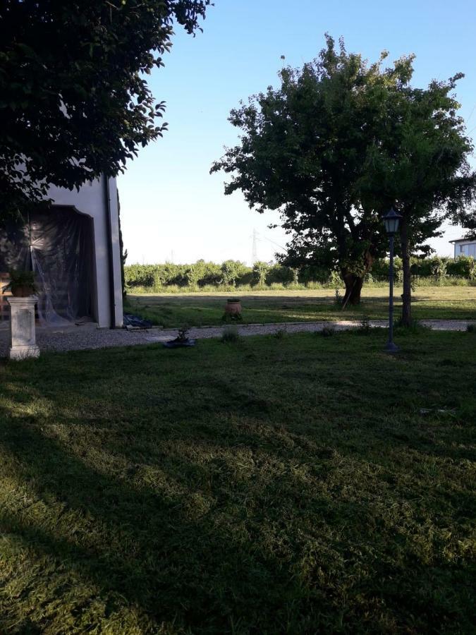 Tenuta Crescentini-Vallemura ,Appartamenti Con Entrata Indipendente San Dona di Piave Luaran gambar