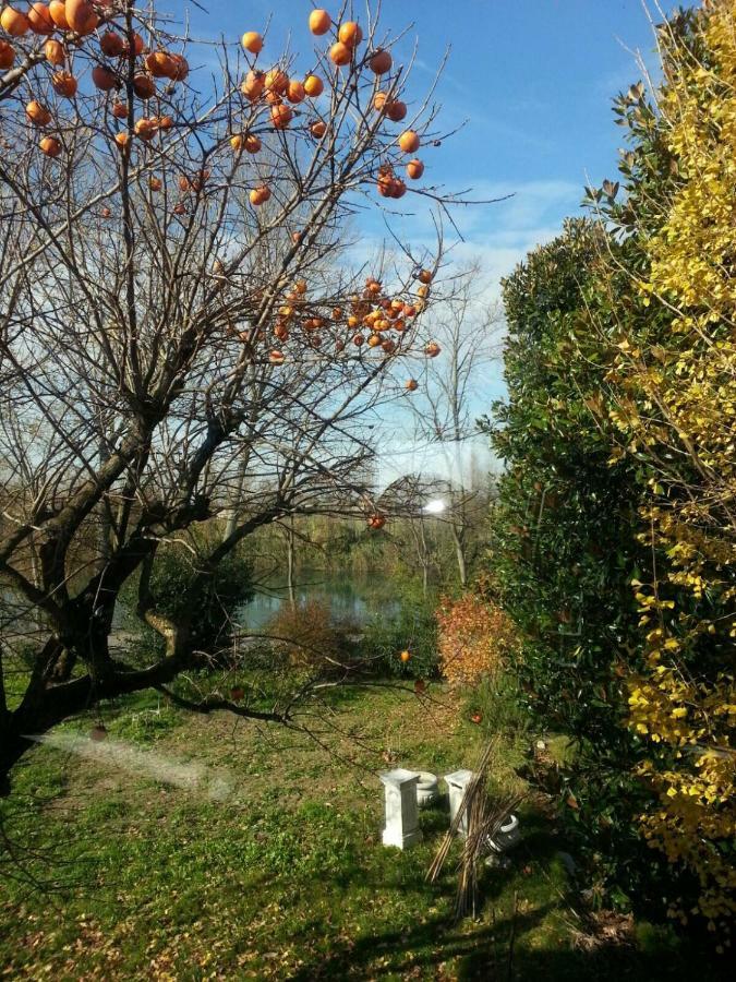 Tenuta Crescentini-Vallemura ,Appartamenti Con Entrata Indipendente San Dona di Piave Luaran gambar