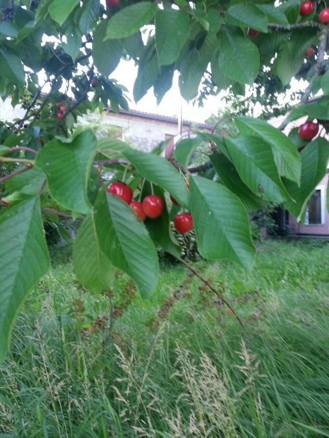 Tenuta Crescentini-Vallemura ,Appartamenti Con Entrata Indipendente San Dona di Piave Luaran gambar