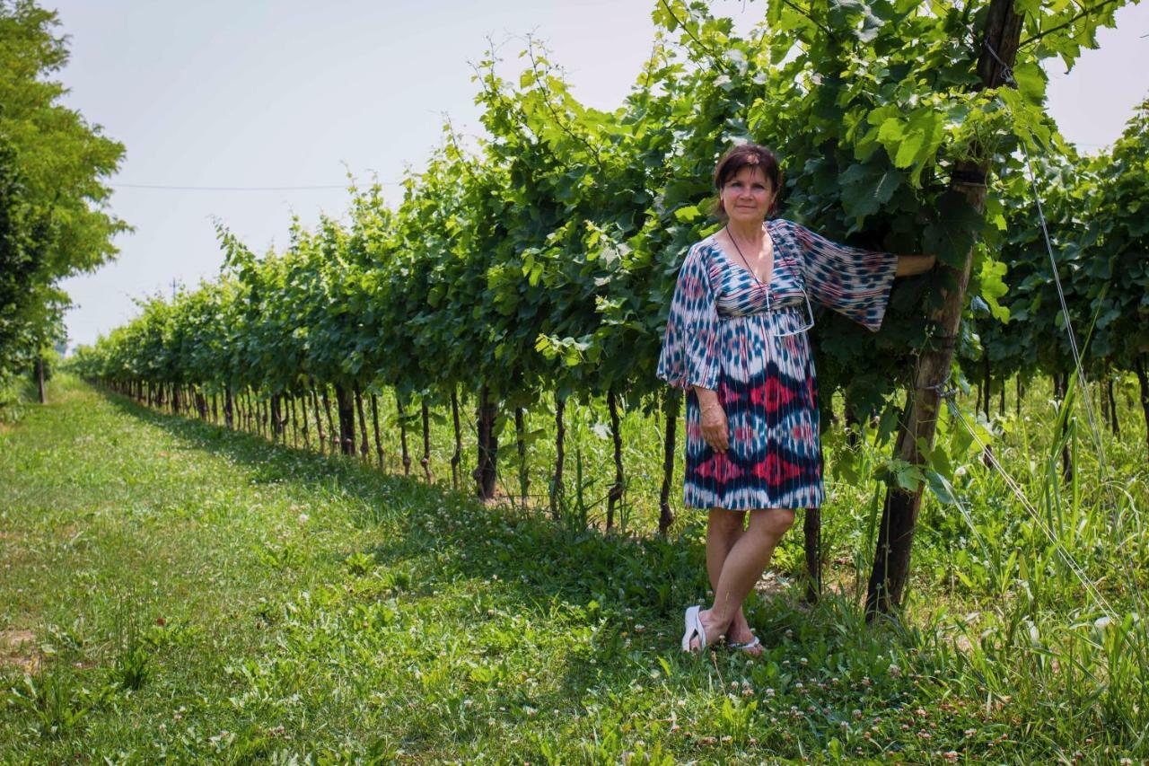 Tenuta Crescentini-Vallemura ,Appartamenti Con Entrata Indipendente San Dona di Piave Luaran gambar